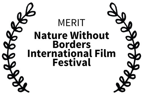 Award of merit laurels for nature without borders film festival