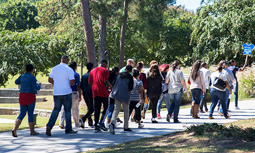 Large Group Tour