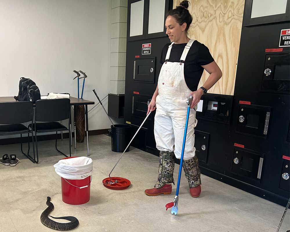 andrea allen handling a snake