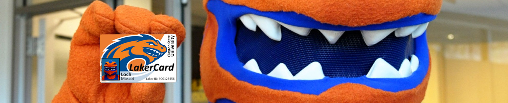 banner image