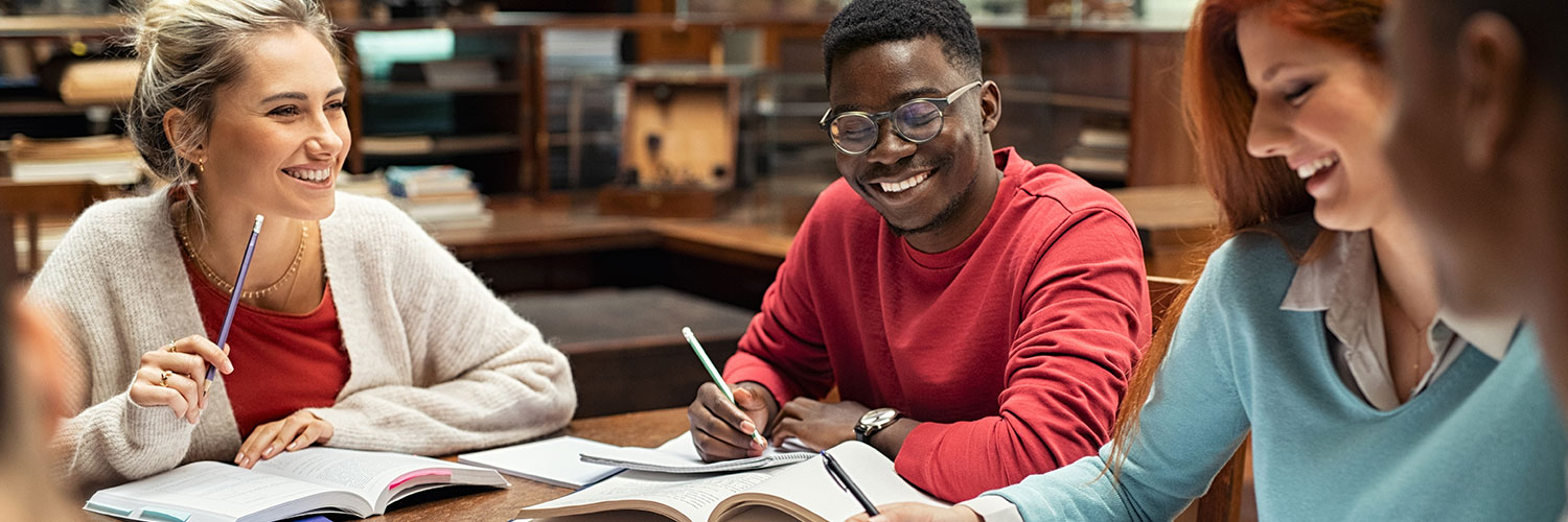 tbody/tr/td[1]/descendant::img/@alt