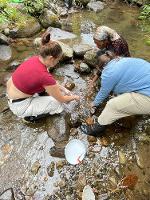 Team capturing samples