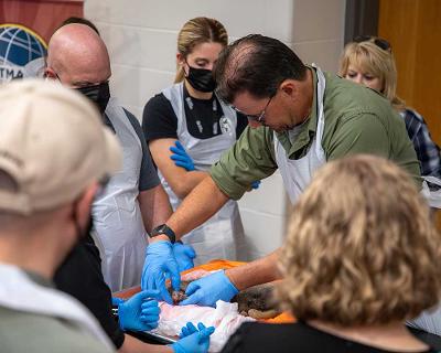 Professor showing how to dissect an animal