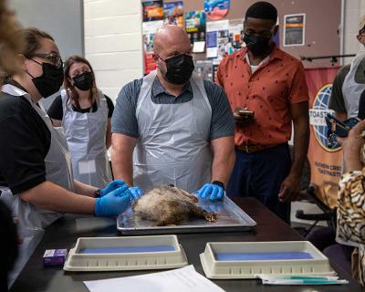 Group learning next steps