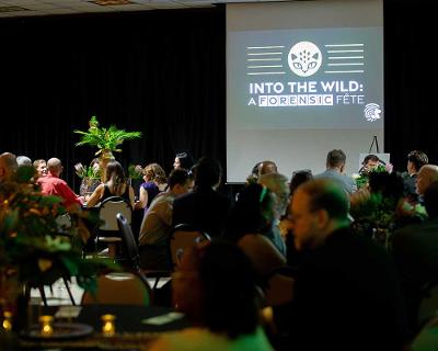 Wildlife program title slide