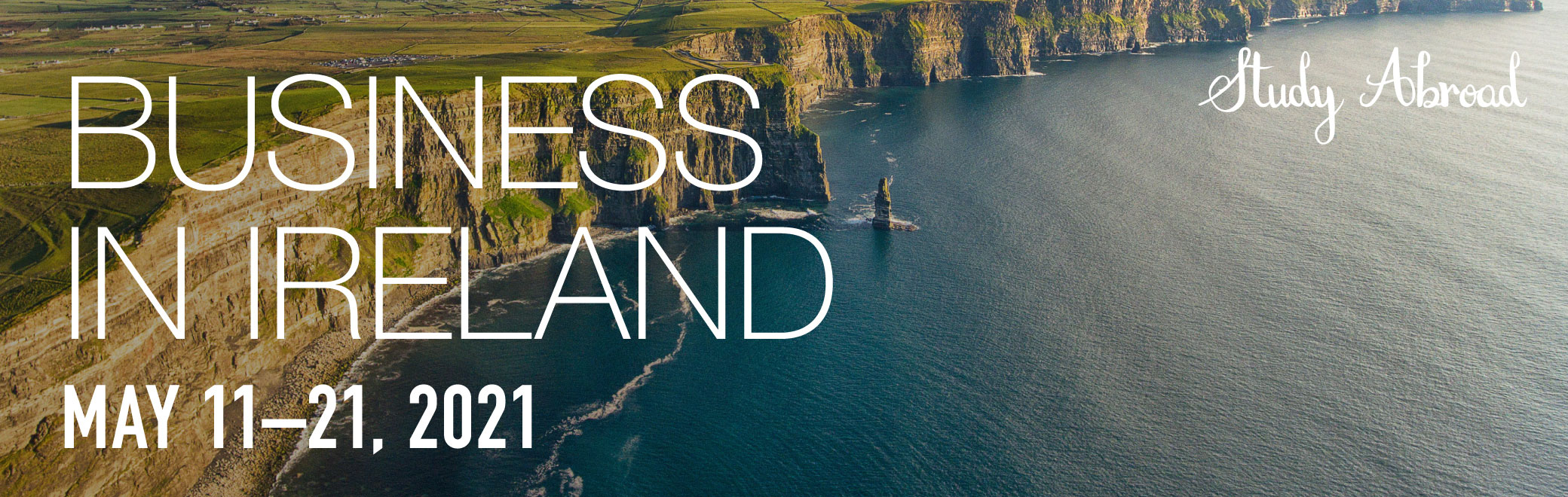 Business in Ireland