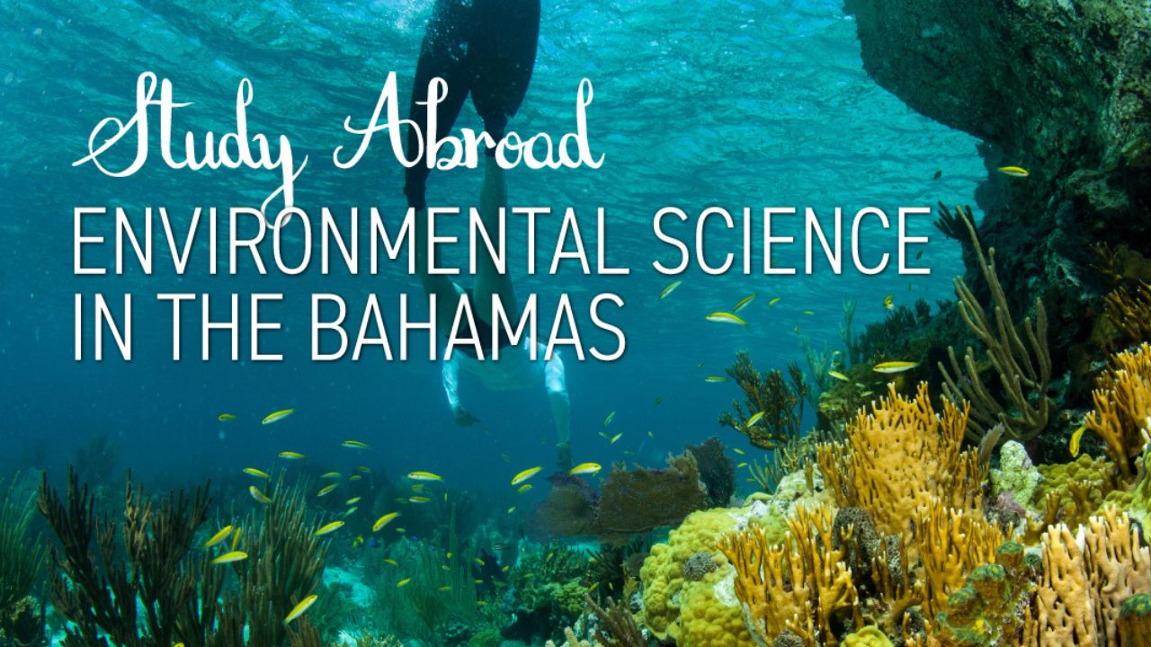 Environmental Science in the Bahamas