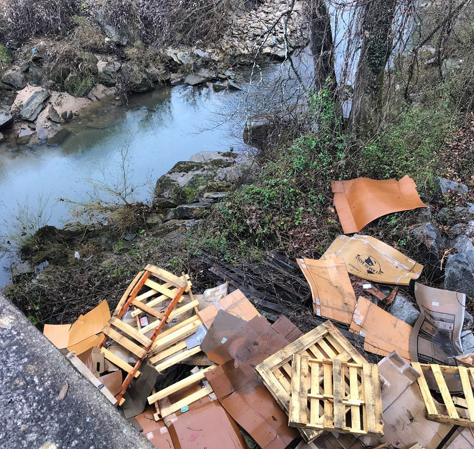 Wooden pallets near river bank