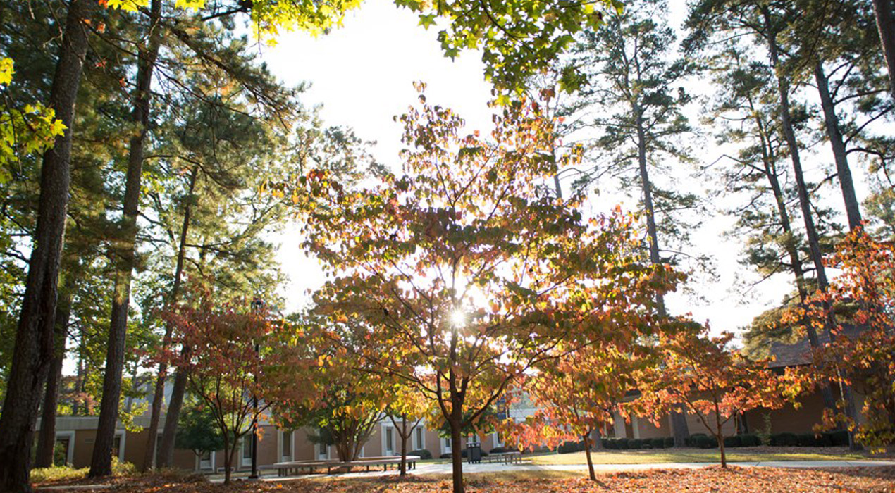 Tree campus USA