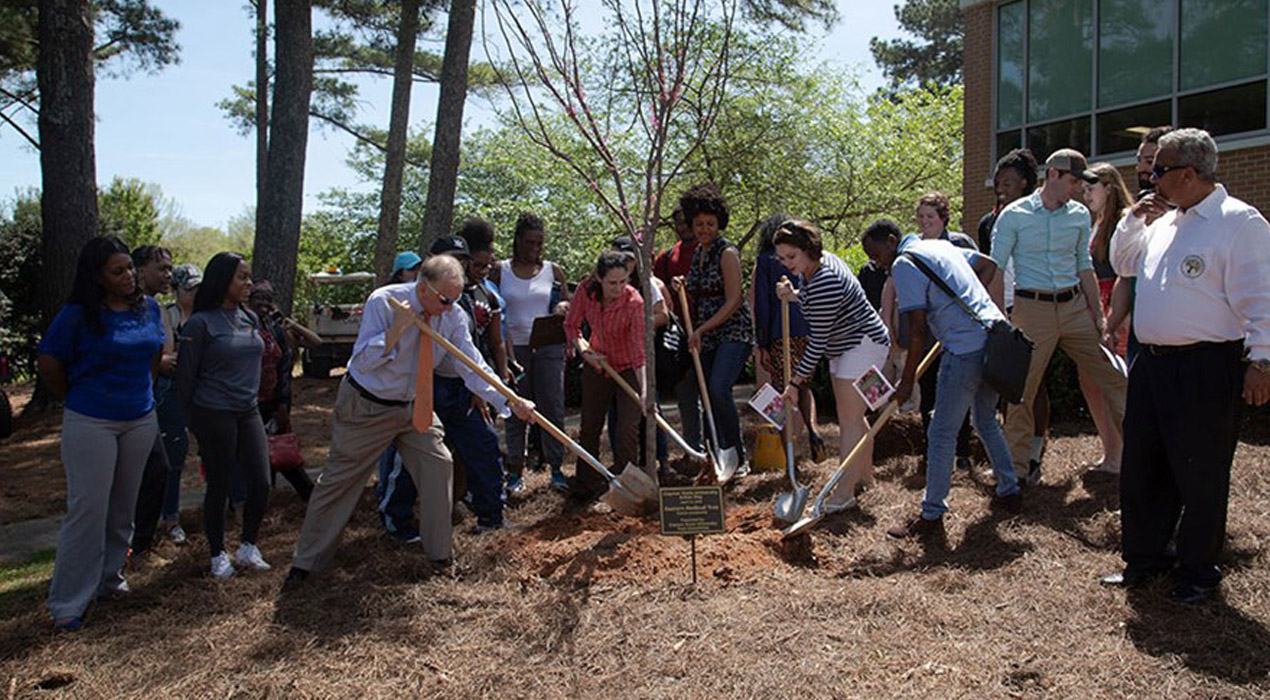 Arbor day