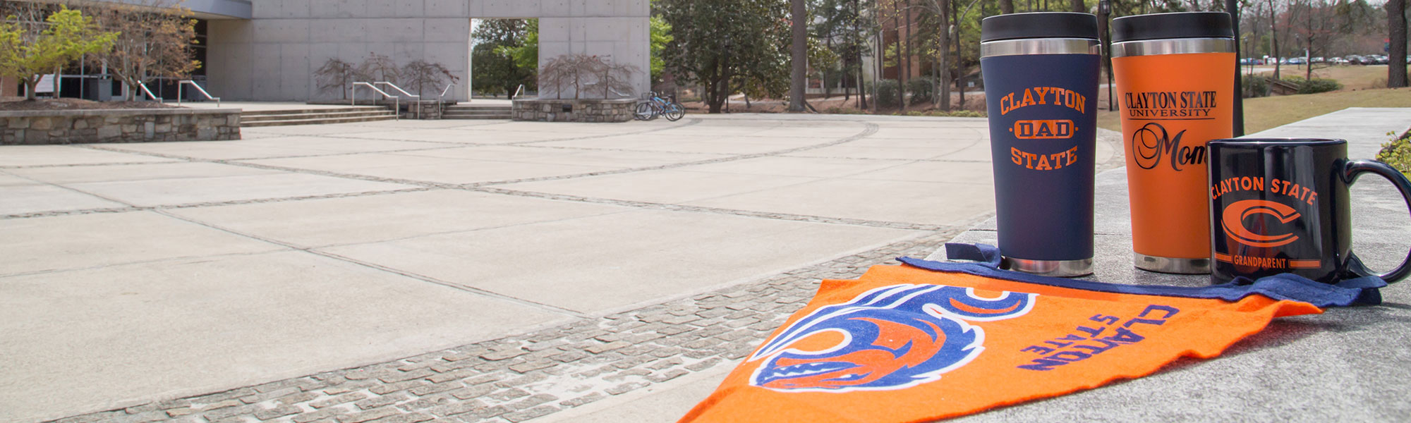 banner image